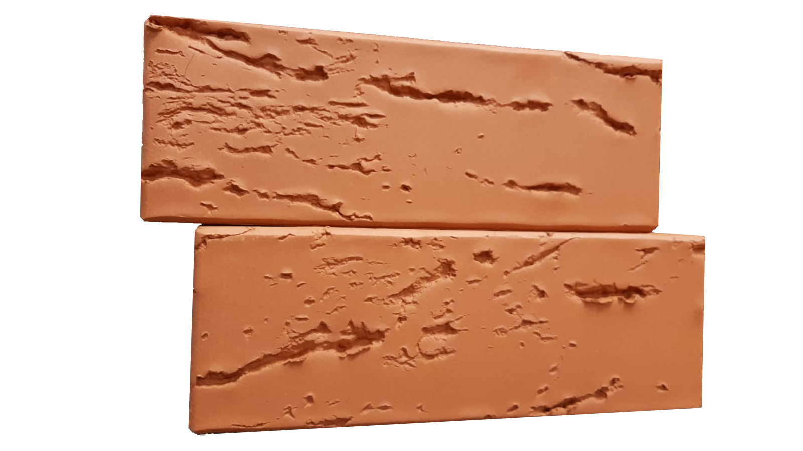 IMG-20211126-WA0010 (1)