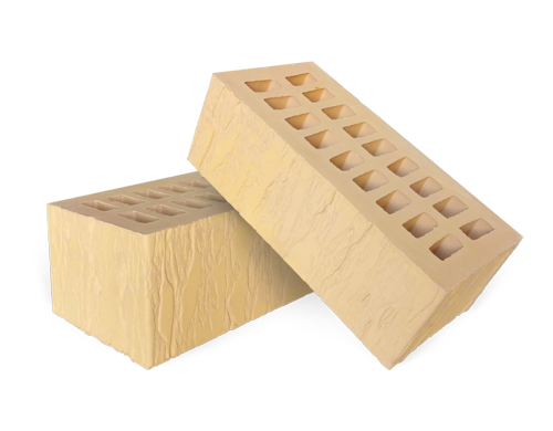 1.4NF_zhelty_cortex_1