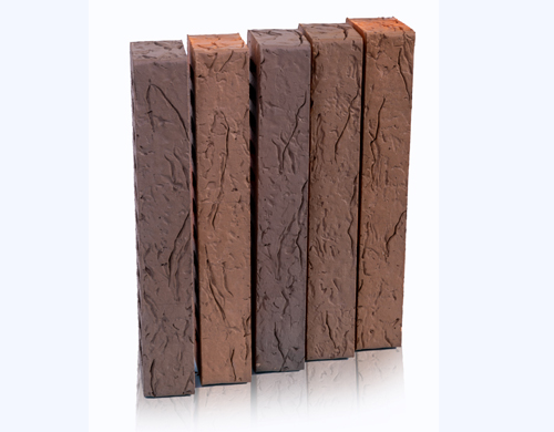 Rigel_Coral_00_4 (1)